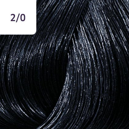 Color Touch â€“ 60ml - Allure Hair Supplies 