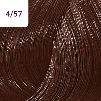 Color Touch â€“ 60ml - Allure Hair Supplies 