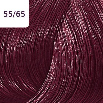 Color Touch â€“ 60ml - Allure Hair Supplies 