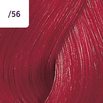 Color Touch â€“ 60ml - Allure Hair Supplies 