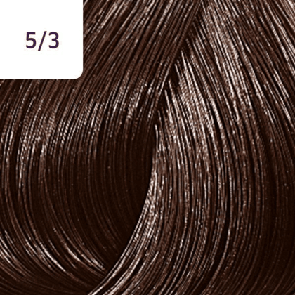 Color Touch â€“ 60ml - Allure Hair Supplies 