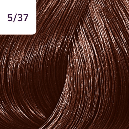 Color Touch â€“ 60ml - Allure Hair Supplies 