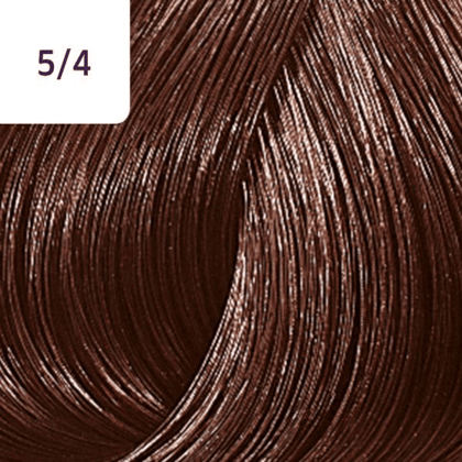 Color Touch â€“ 60ml - Allure Hair Supplies 