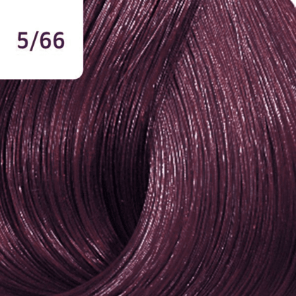 Color Touch â€“ 60ml - Allure Hair Supplies 