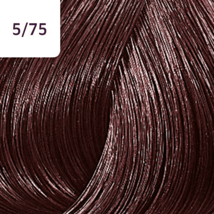 Color Touch â€“ 60ml - Allure Hair Supplies 