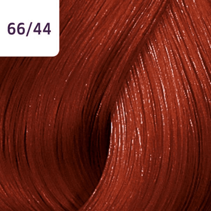 Color Touch â€“ 60ml - Allure Hair Supplies 