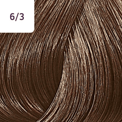 Color Touch â€“ 60ml - Allure Hair Supplies 