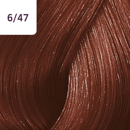Color Touch â€“ 60ml - Allure Hair Supplies 