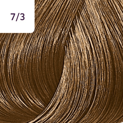 Color Touch â€“ 60ml - Allure Hair Supplies 