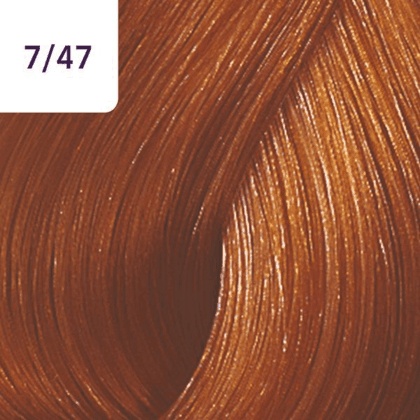 Color Touch â€“ 60ml - Allure Hair Supplies 
