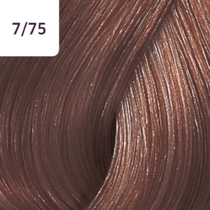 Color Touch â€“ 60ml - Allure Hair Supplies 