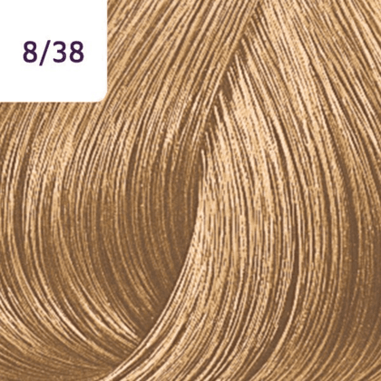 Color Touch â€“ 60ml - Allure Hair Supplies 