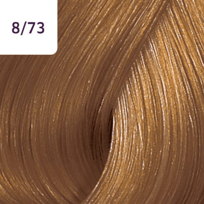 Color Touch â€“ 60ml - Allure Hair Supplies 