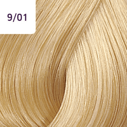 Color Touch â€“ 60ml - Allure Hair Supplies 