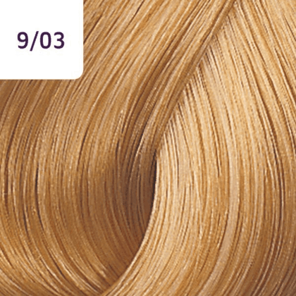 Color Touch â€“ 60ml - Allure Hair Supplies 