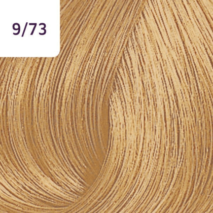 Color Touch â€“ 60ml - Allure Hair Supplies 