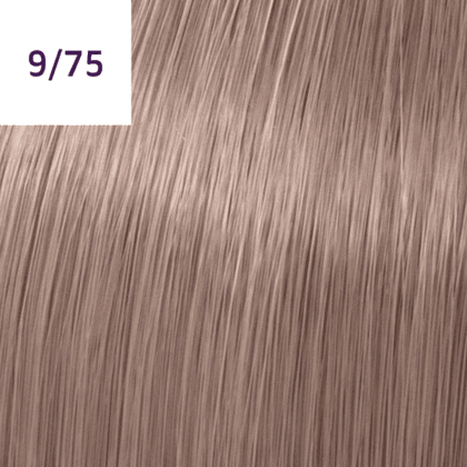 Color Touch â€“ 60ml - Allure Hair Supplies 