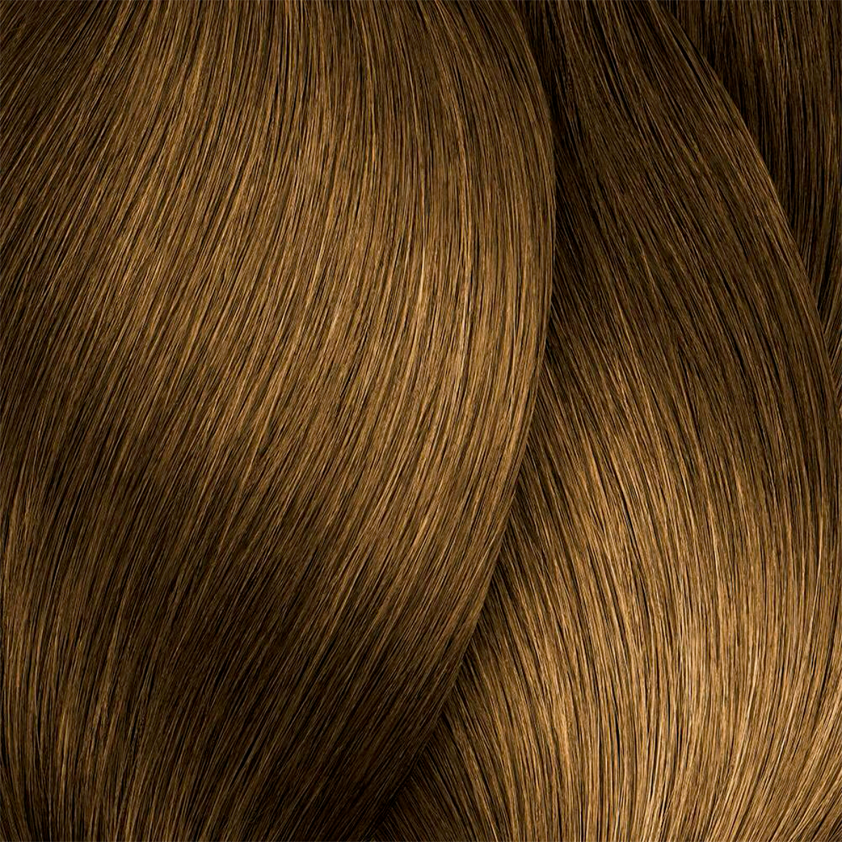Close-up of brown hair strands