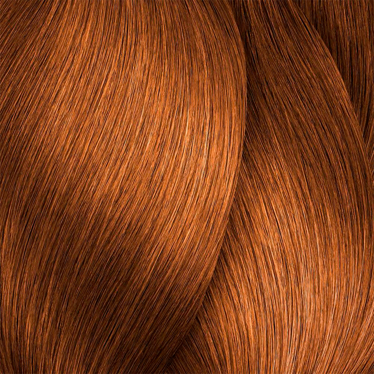 Close-up of brown hair strands